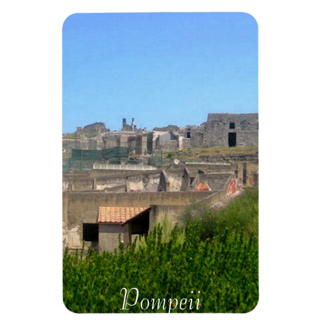 Pompeii Italy Magnet (Vertical)