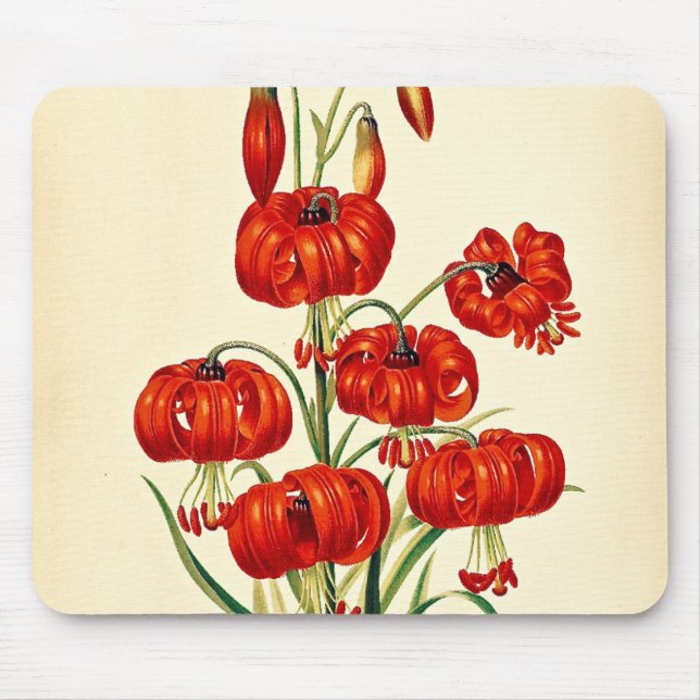 Pompone Red Lily Vintage Botanical Mouse Pad (Front)
