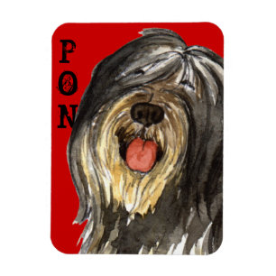 PON Colour Block Magnet