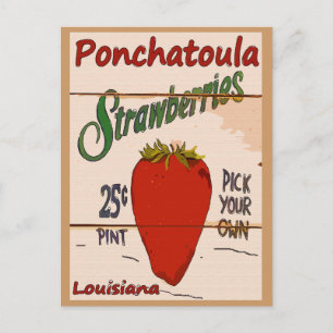 Ponchatoula Strawberries Card