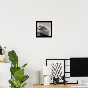 Poncho The Pigeon Poster