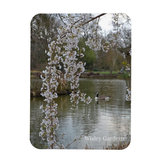 Pond at RHS Wisley, England Magnet (Vertical)