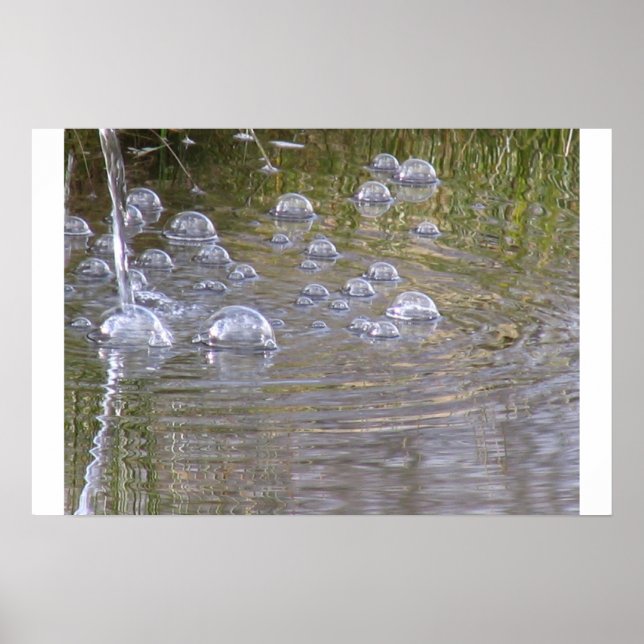 pond bubbles poster (Front)