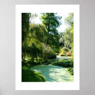 Pond covered with duckweed poster