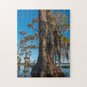 Pond Cypress Tree in a Swamp Jigsaw Puzzle
