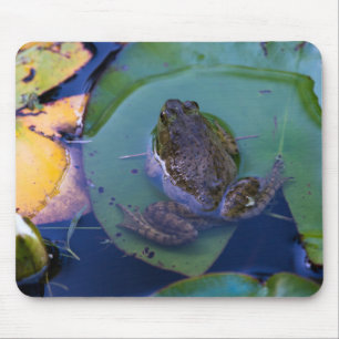 Pond Frog Mouse Pad