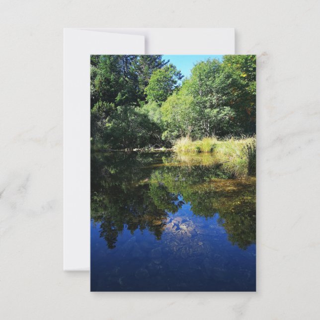 pond in the forest  card (Front)