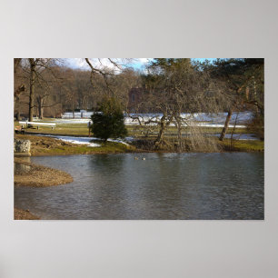 Pond Photo Poster
