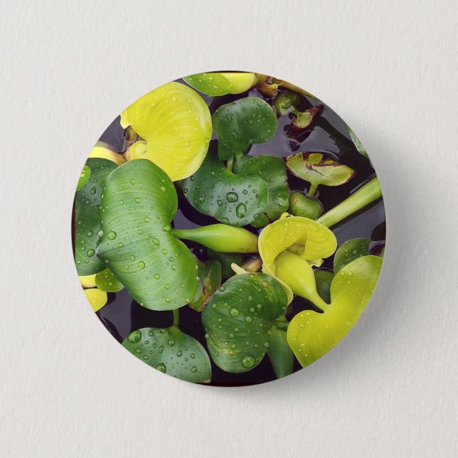 Pond Plants at the grocery store 6 Cm Round Badge (Front)