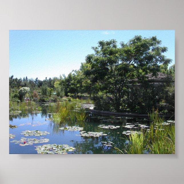 Pond Poster (Front)