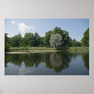 Pond Poster