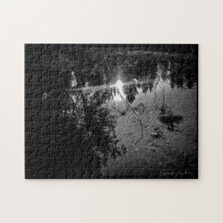 Pond Puzzle