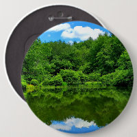 Pond Reflection