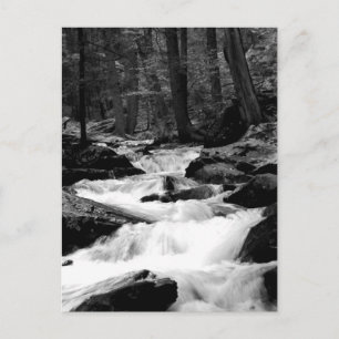 Pond Run Creek Postcard