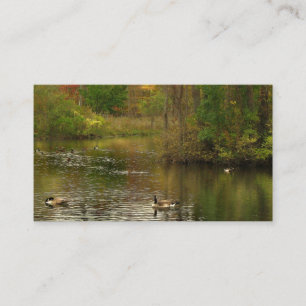 Pond Services Business Card
