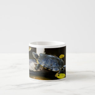 Pond slider turtle in the wild espresso cup