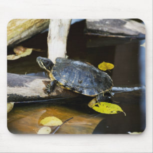 Pond slider turtle in the wild mouse pad