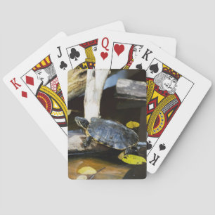 Pond slider turtle in the wild playing cards