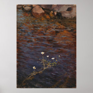 Pond Water Crowfoot (1895) Eero Järnefelt  Poster