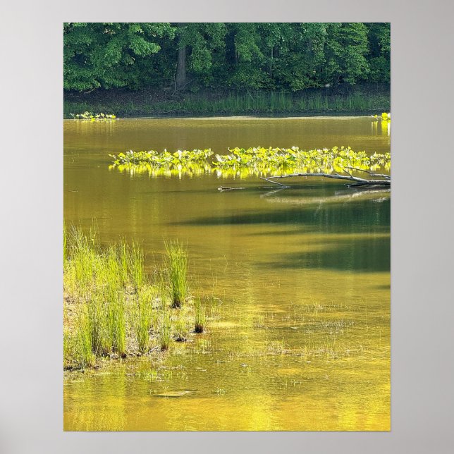 Pond Waterscape Photo Poster (Front)