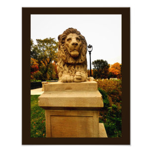Pondering Lion Photo Print