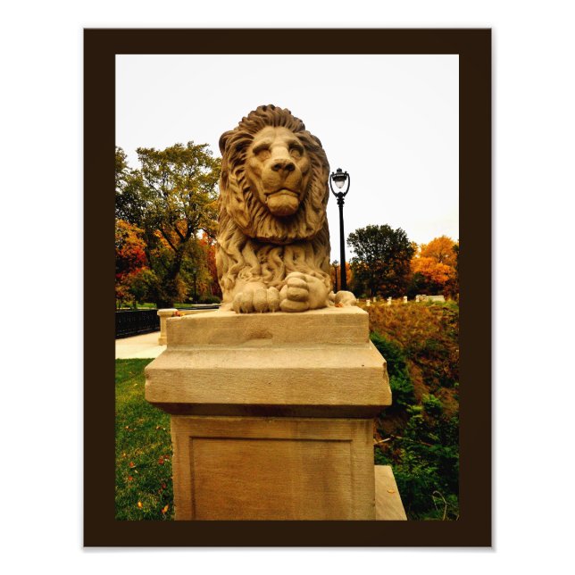 Pondering Lion Photo Print (Front)