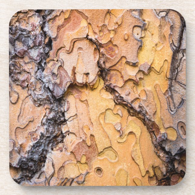 Ponderosa pine bark, Washington Coaster (Front)