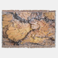 Ponderosa pine bark, Washington
