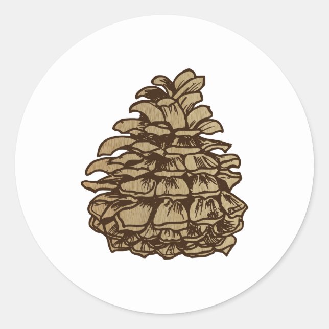 Ponderosa Pine Cone Backgrond Classic Round Sticker (Front)