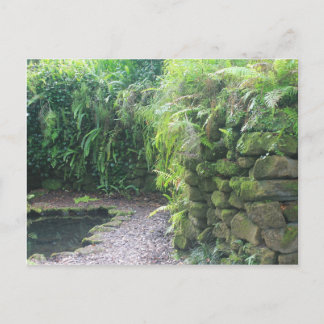 Pond's Grotto Postcard