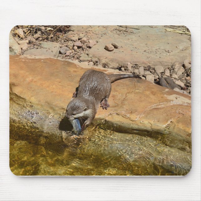 **"Pondside Feast: An Otter and His Catch"** Mouse Pad (Front)