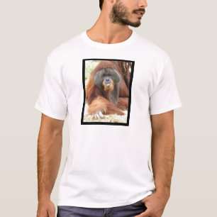 Pongo Orangutan Ape Men's T-Shirt