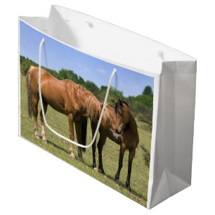 Ponies in Love Gift Bag