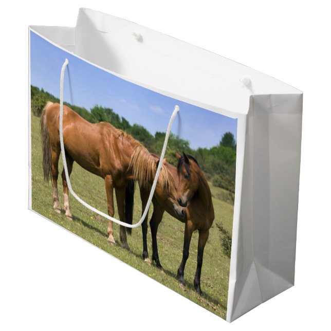 Ponies in Love Gift Bag (Front Angled)