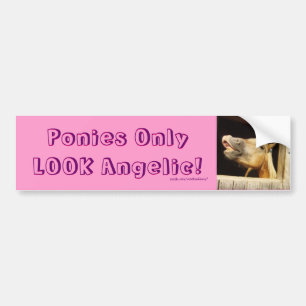 Ponies Only LOOK Angelic! Bumper Sticker