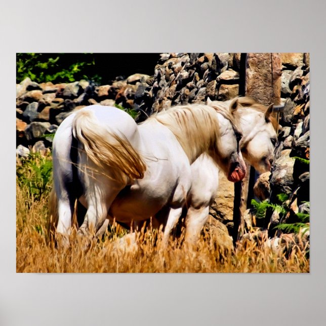 PONIES POSTER (Front)