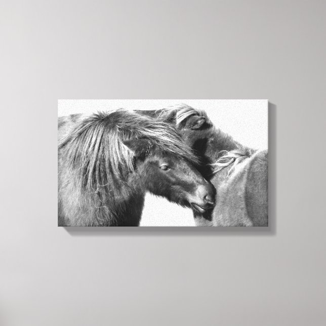 Ponies Scratch Canvas Print (Front)