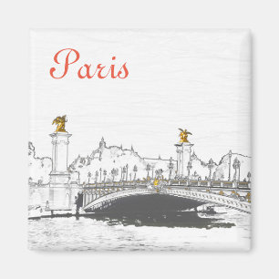 Pont Alexandre III on Seine River - Paris France Magnet