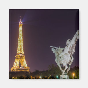 Pont de Bir-Hakeim at night - Paris, France Magnet