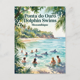 Ponta do Ouro Dolphin Swims Mozambique Postcard