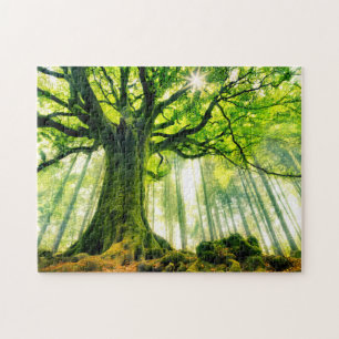 Ponthus' Beech Jigsaw Puzzle