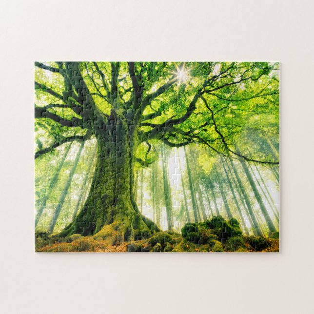 Ponthus' Beech Jigsaw Puzzle (Horizontal)