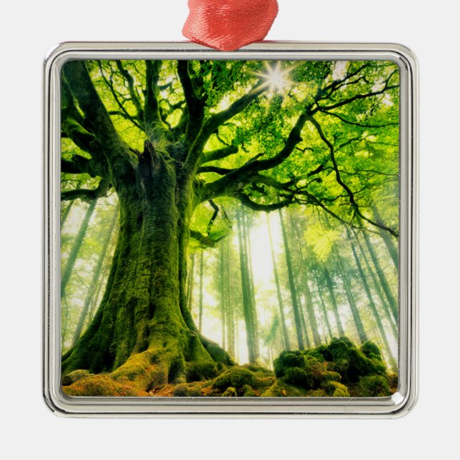 Ponthus' Beech Metal Tree Decoration (Front)
