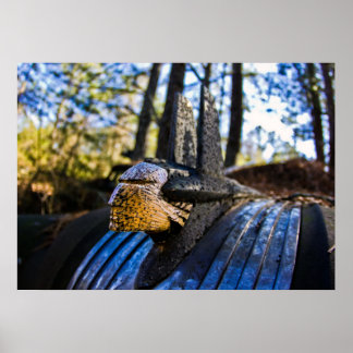 Pontiac Indian Hood Ornament Poster