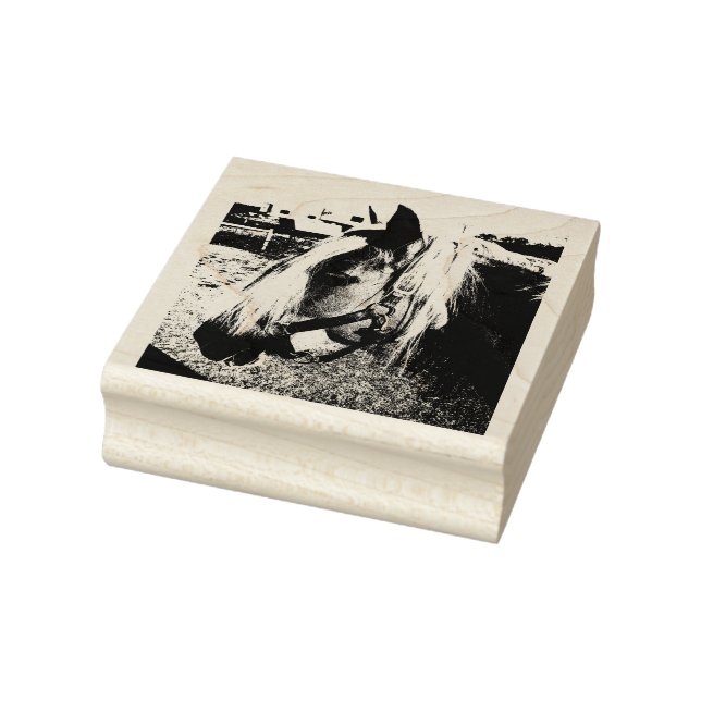 Pony Close Up Photo Rubber Stamp (Stamp)