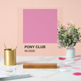 Pony Club Song Pink Color - Clear Background Acrylic Sign