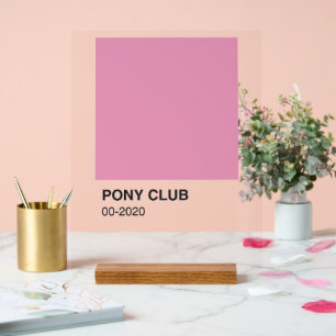 Pony Club Song Pink Colour - Clear Background Acrylic Sign