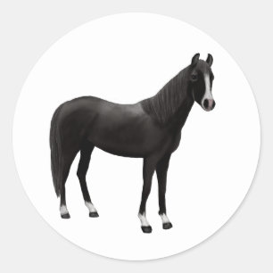 Pony Equestrian Western Black Horse Classic Round Sticker