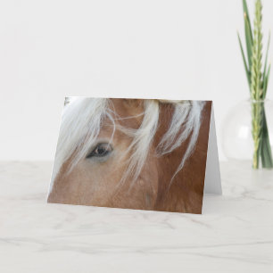 Pony Greeting card