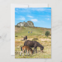 Pony Haytor rock in Dartmoor national park Devon